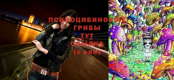 дурь Магас