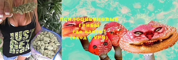 дурь Магас