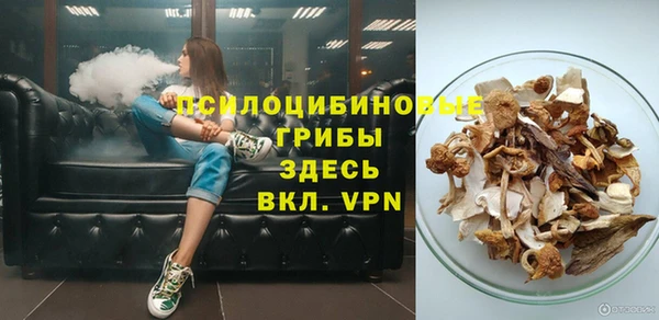 дурь Магас